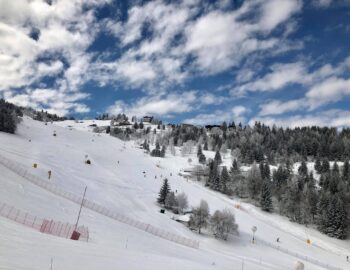 54372048_2361927257171120_5499316468426211328_o