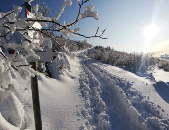 72483256_2795506707146504_1083076450086551552_n